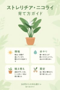 ストレリチアの育て方