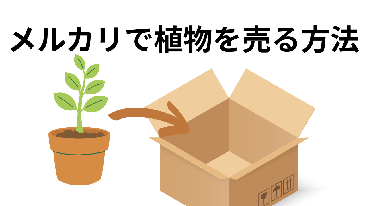 メルカリで植物を売るための方法