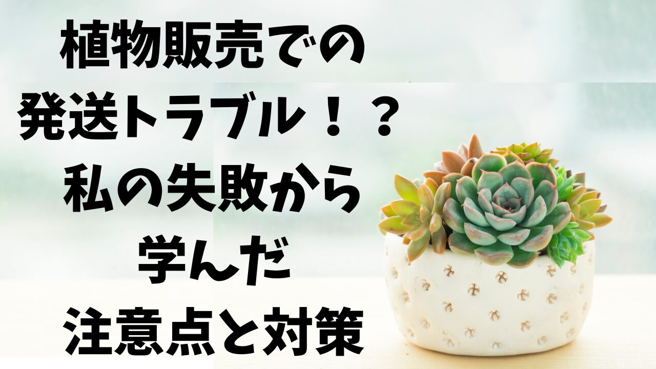 えっ、こんな失敗あるの！？植物発送のリアルな落とし穴⚠️
