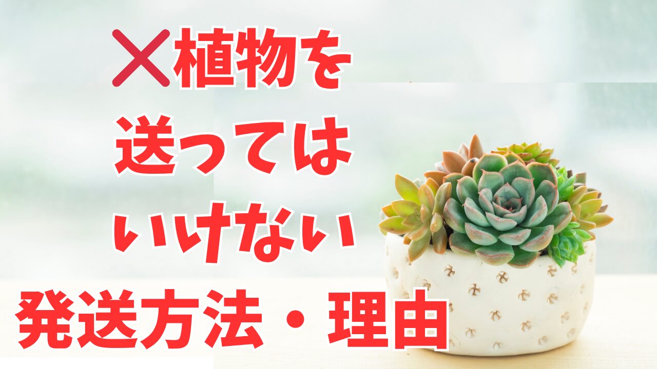 植物を送っては行けない発送方法や理由について詳しく解説