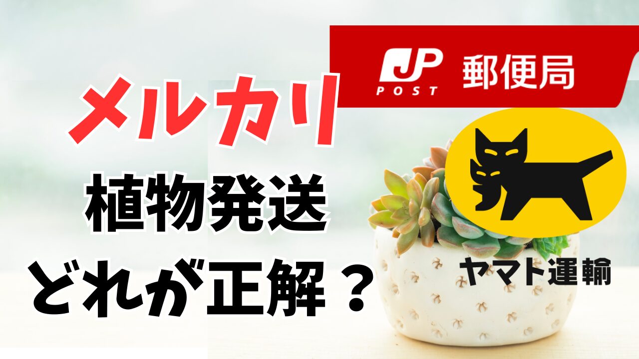 メルカリで植物を発送する際の料金等を含め徹底比較