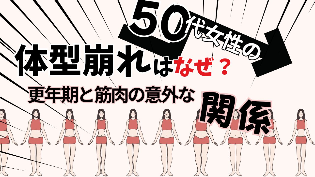 体型崩れ・更年期と筋肉の関係